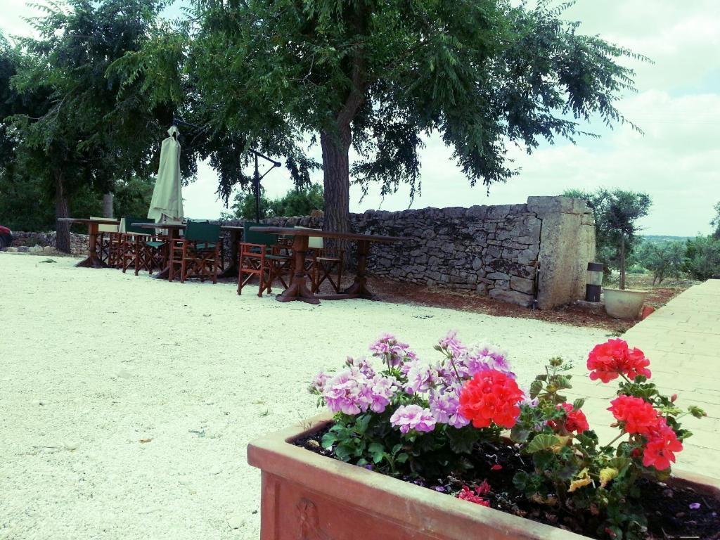 Masseria Sant'Elia 마르티나프란카 외부 사진